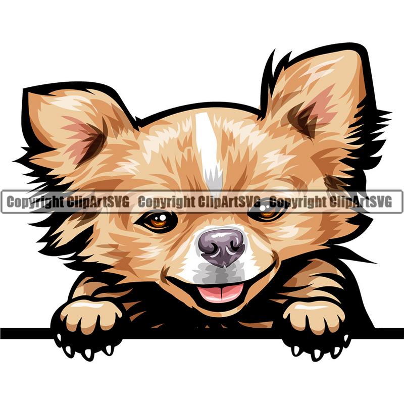 Chihuahua Dog Breed Peeking Color ClipArt SVG