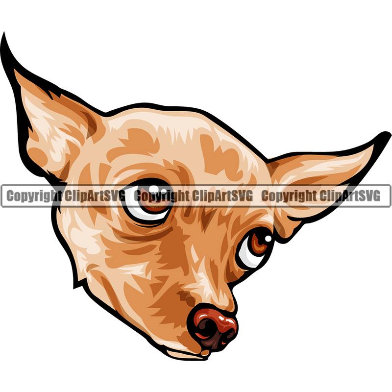 Chihuahua Dog Breed Head Color ClipArt SVG