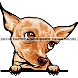 Chihuahua Dog Breed Peeking Color ClipArt SVG