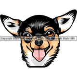 Chihuahua Dog Breed Head Color ClipArt SVG