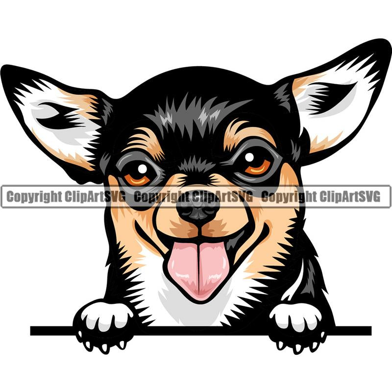 Chihuahua Dog Breed Peeking Color ClipArt SVG