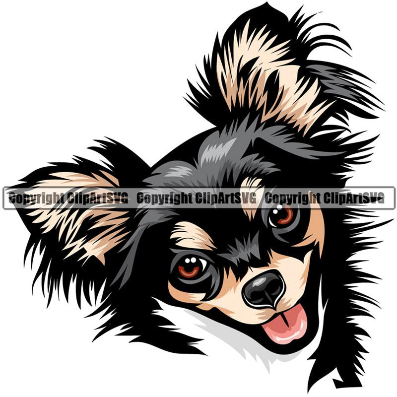 Chihuahua Dog Breed Head Color ClipArt SVG