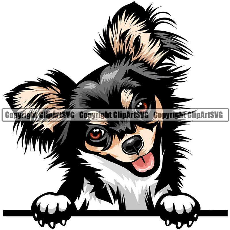 Chihuahua Dog Breed Peeking Color ClipArt SVG
