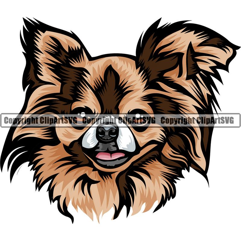 Chihuahua Dog Breed Head Color ClipArt SVG