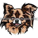 Chihuahua Dog Breed Head Color ClipArt SVG