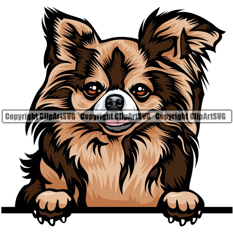 Chihuahua Dog Breed Peeking Color ClipArt SVG