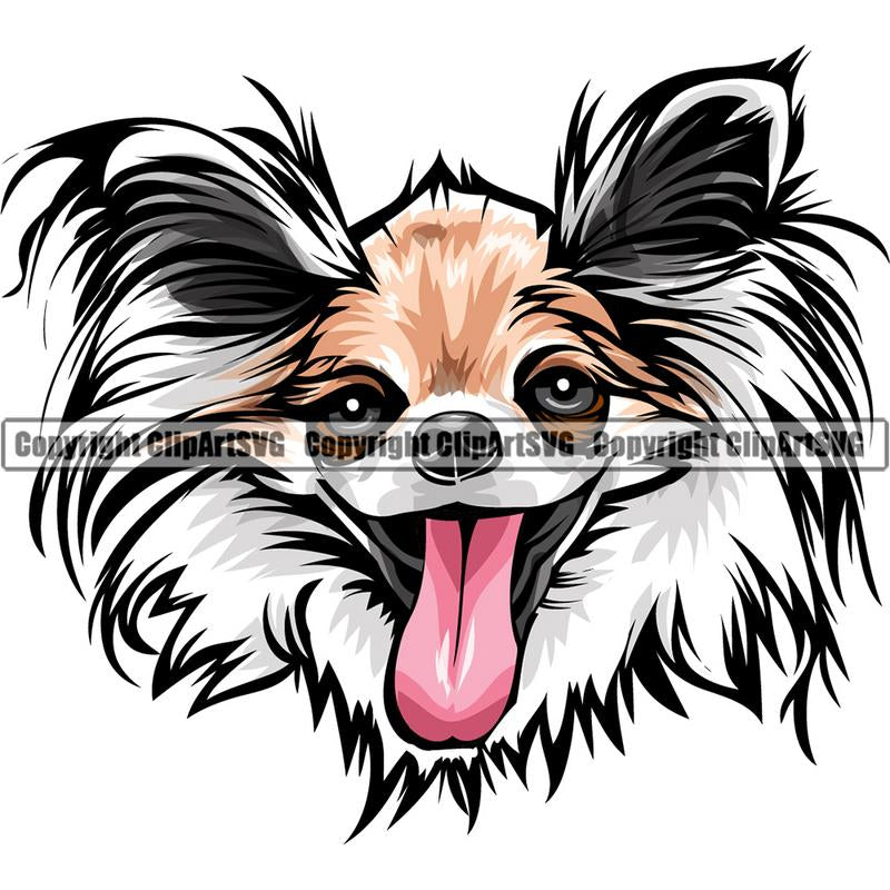 Chihuahua Dog Breed Head Color ClipArt SVG
