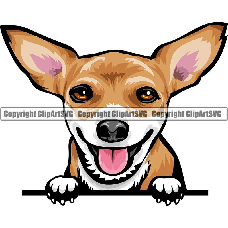 Chihuahua Dog Breed Peeking Color ClipArt SVG