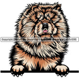 Chow Chow Dog Breed Peeking Color ClipArt SVG