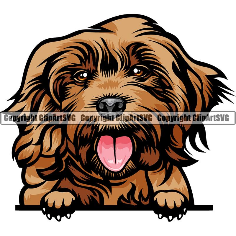 Cockapoo Dog Breed Peeking Color ClipArt SVG