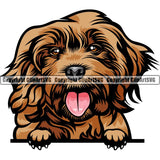 Cockapoo Dog Breed Peeking Color ClipArt SVG