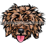 Cockapoo Dog Breed Head Color ClipArt SVG