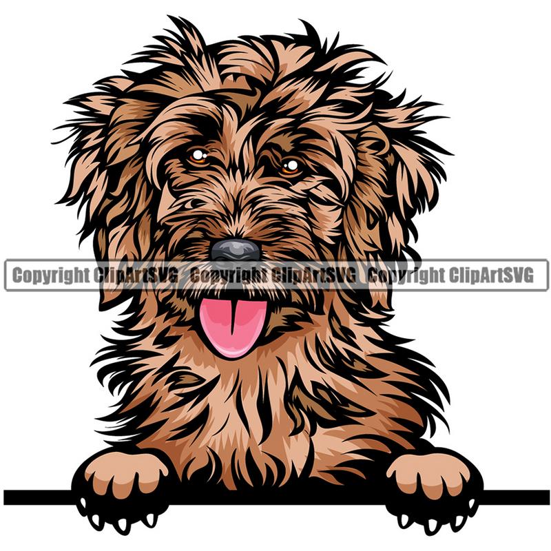 Cockapoo Dog Breed Peeking Color ClipArt SVG