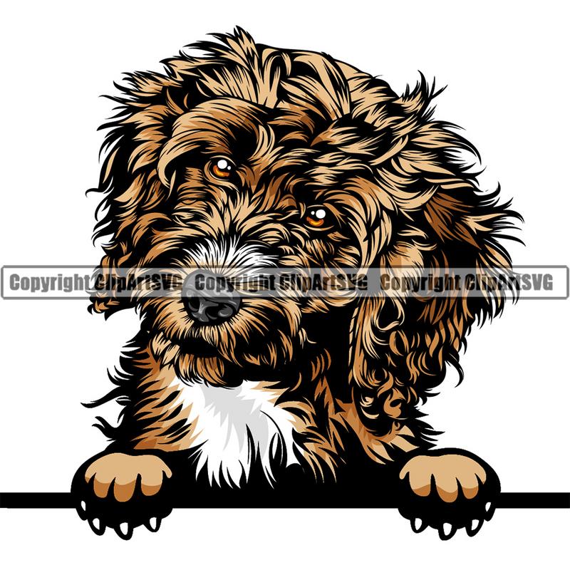 Cockapoo Dog Breed Peeking Color ClipArt SVG