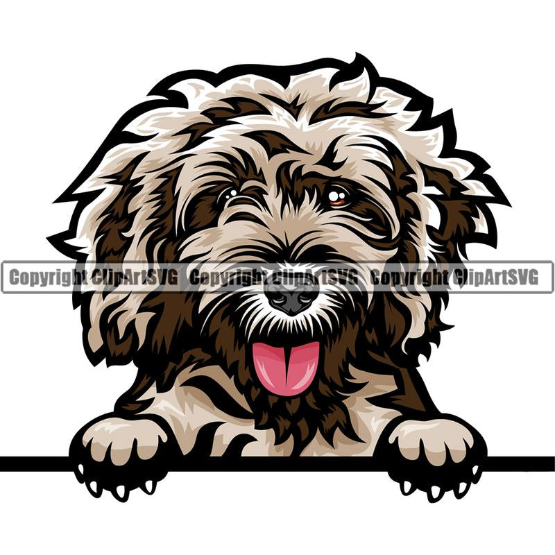 Cockapoo Dog Breed Peeking Color ClipArt SVG