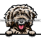 Cockapoo Dog Breed Peeking Color ClipArt SVG