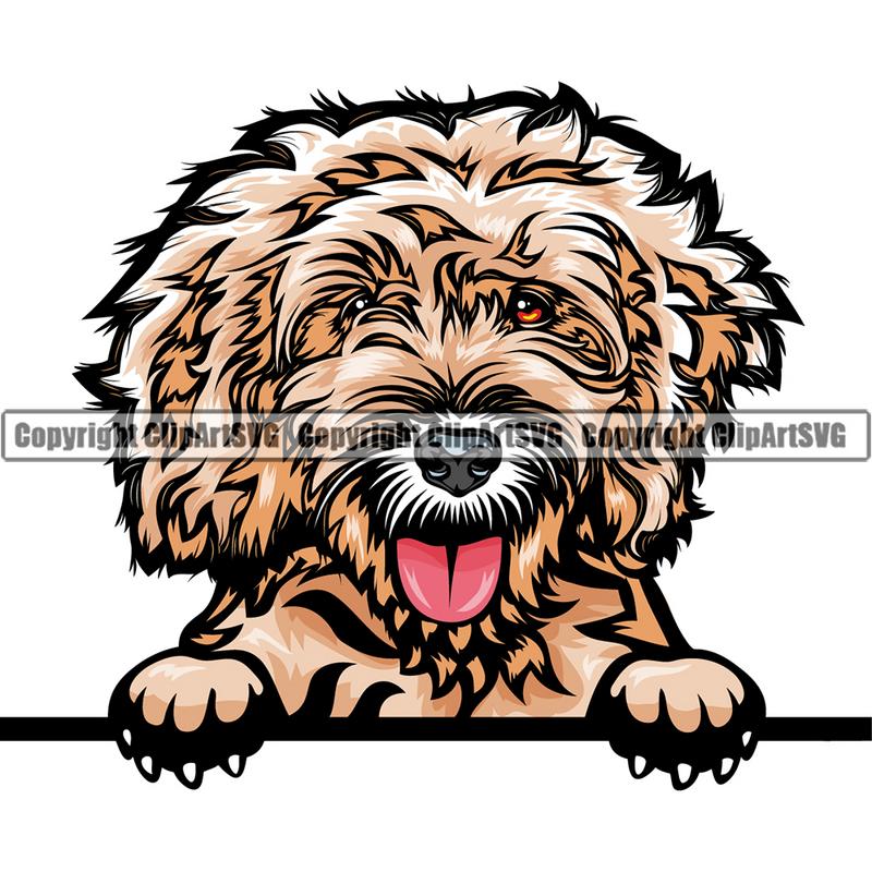 Cockapoo Dog Breed Peeking Color ClipArt SVG