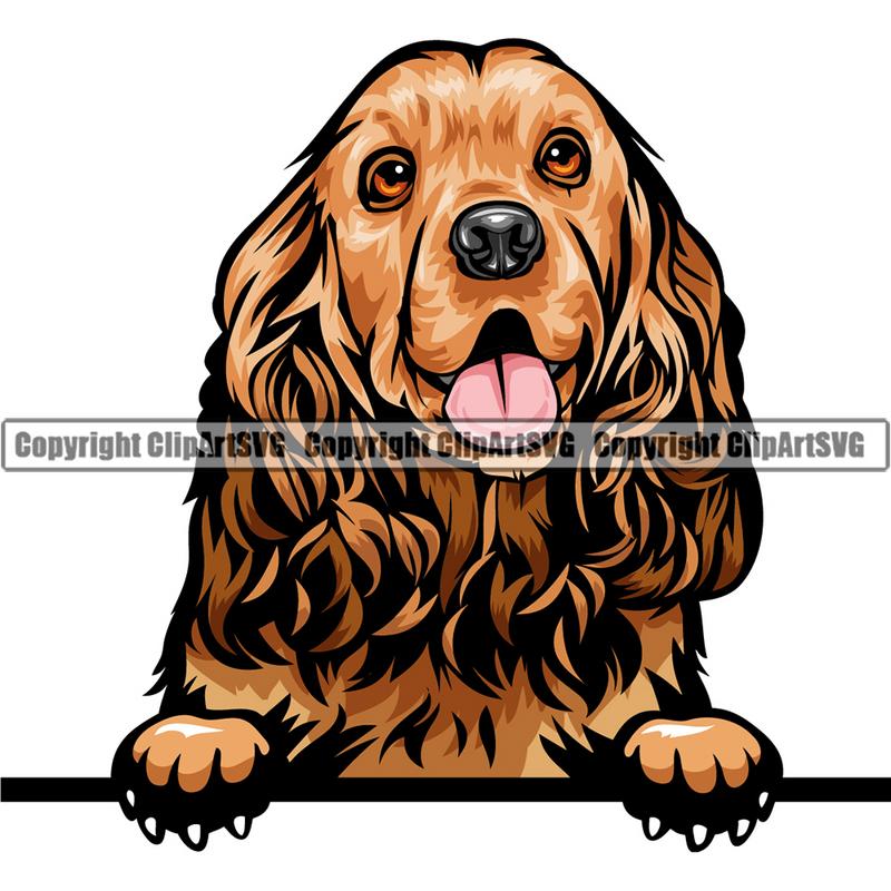 Cocker Spaniel Dog Breed Peeking Color ClipArt SVG