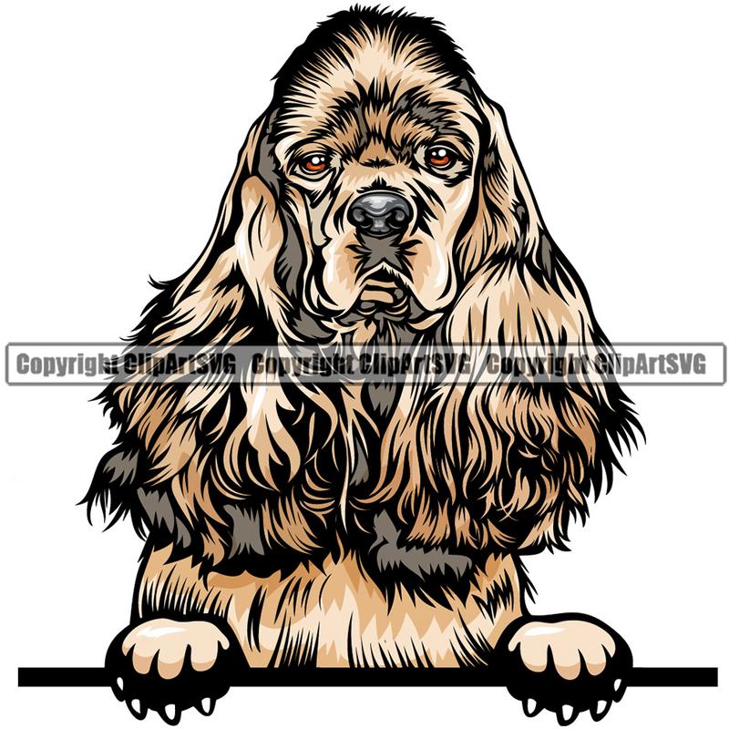 Cocker Spaniel Dog Breed Peeking Color ClipArt SVG