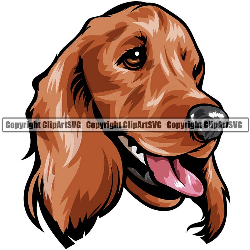 Cocker Spaniel Dog Breed Head Color ClipArt SVG