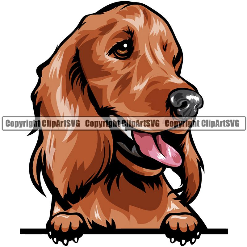 Cocker Spaniel Dog Breed Peeking Color ClipArt SVG