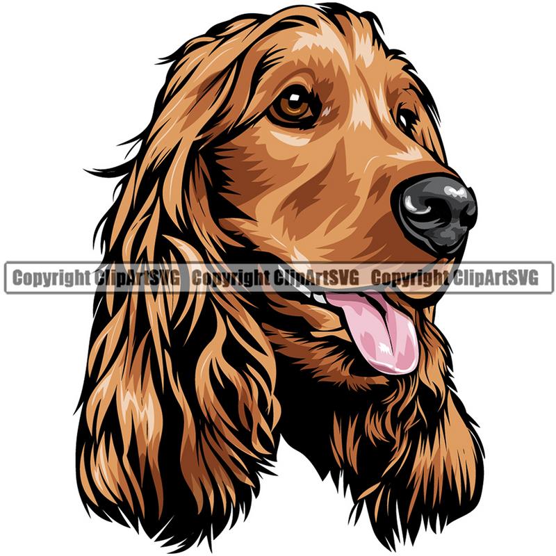 Cocker Spaniel Dog Breed Head Color ClipArt SVG
