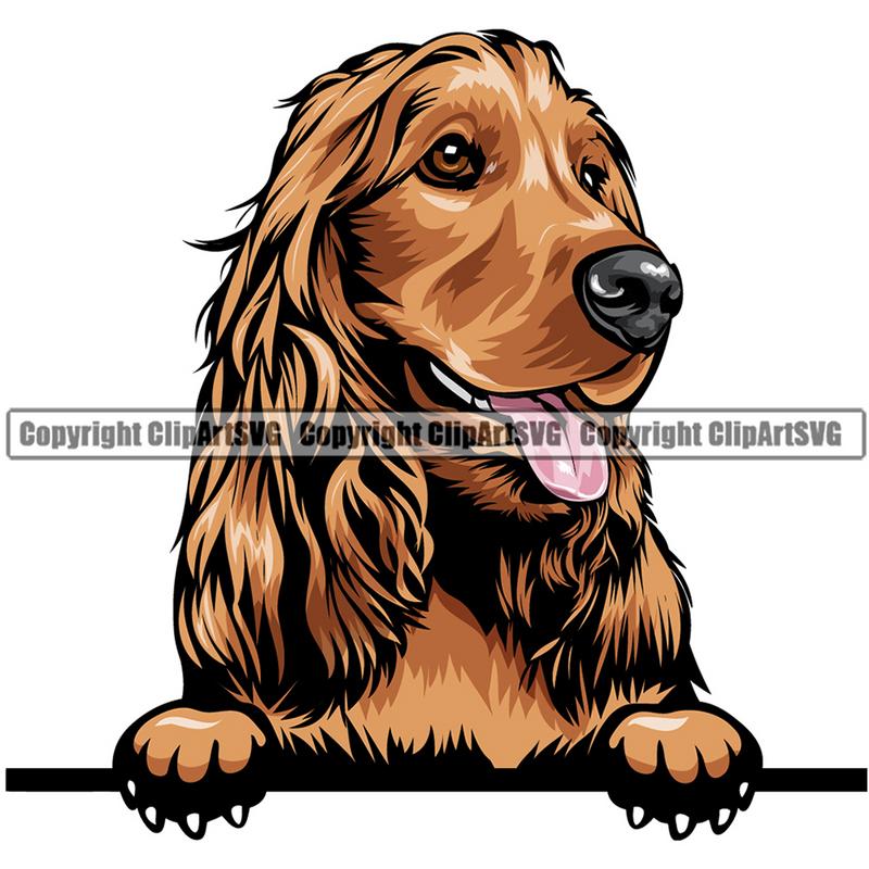 Cocker Spaniel Dog Breed Peeking Color ClipArt SVG