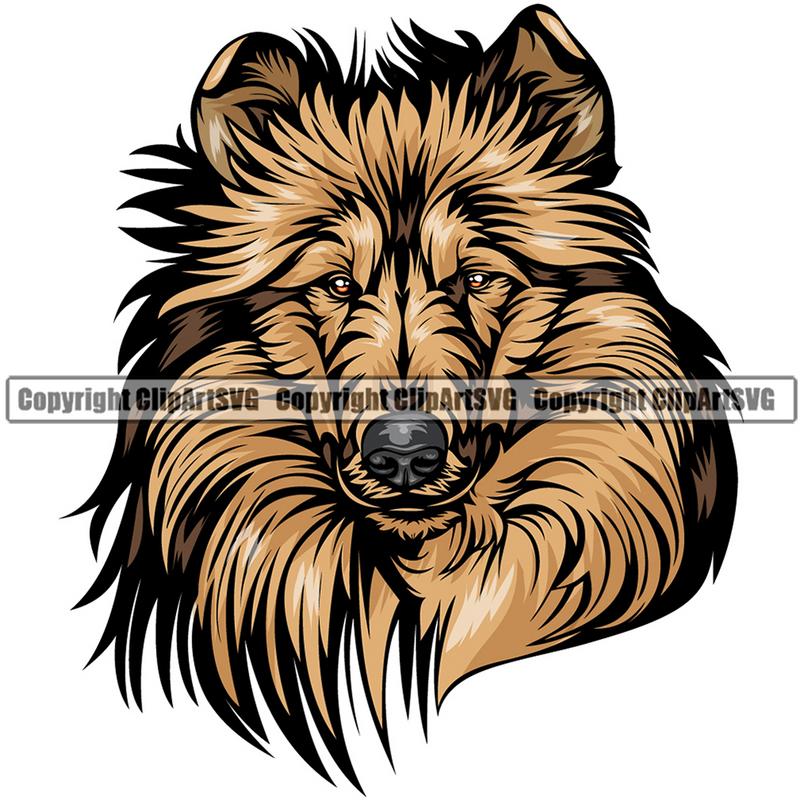 Collie Dog Breed Head Color ClipArt SVG