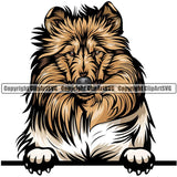 Collie Dog Breed Peeking Color ClipArt SVG
