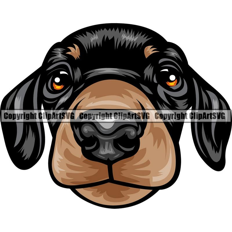 Dachshund Dog Breed Head Color ClipArt SVG