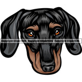Dachshund Dog Breed Head Color ClipArt SVG