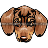 Dachshund Dog Breed Head Color ClipArt SVG