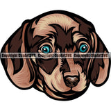 Dachshund Dog Breed Head Color ClipArt SVG