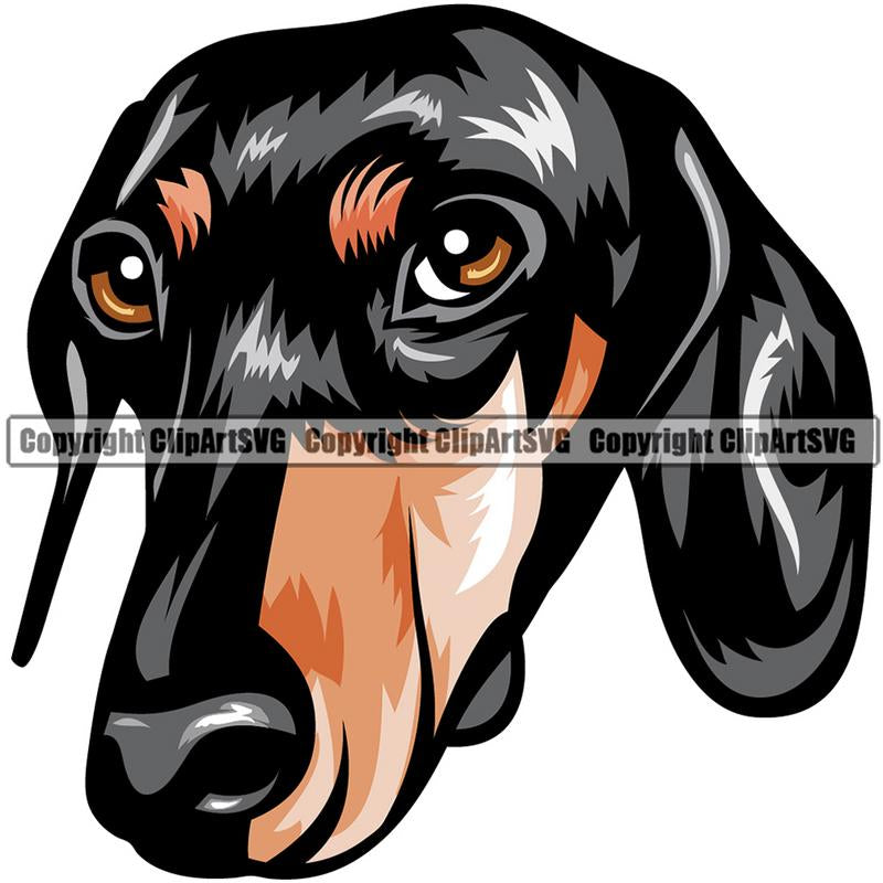 Dachshund Dog Breed Head Color ClipArt SVG