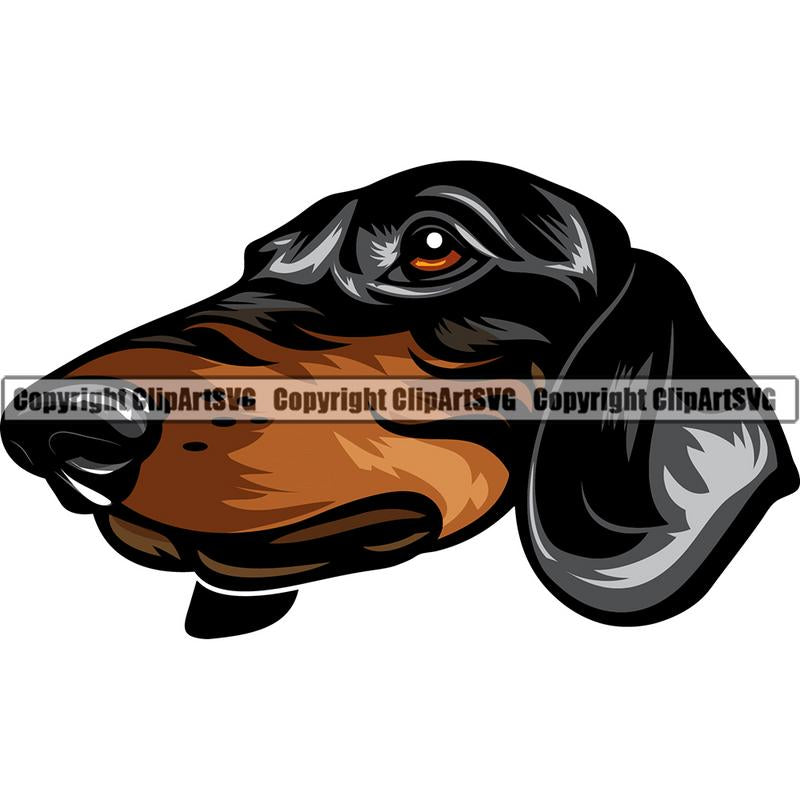 Dachshund Dog Breed Head Color ClipArt SVG