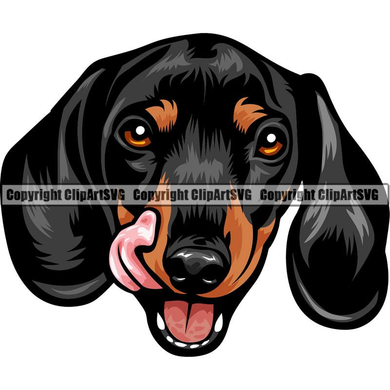 Dachshund Dog Breed Head Color ClipArt SVG