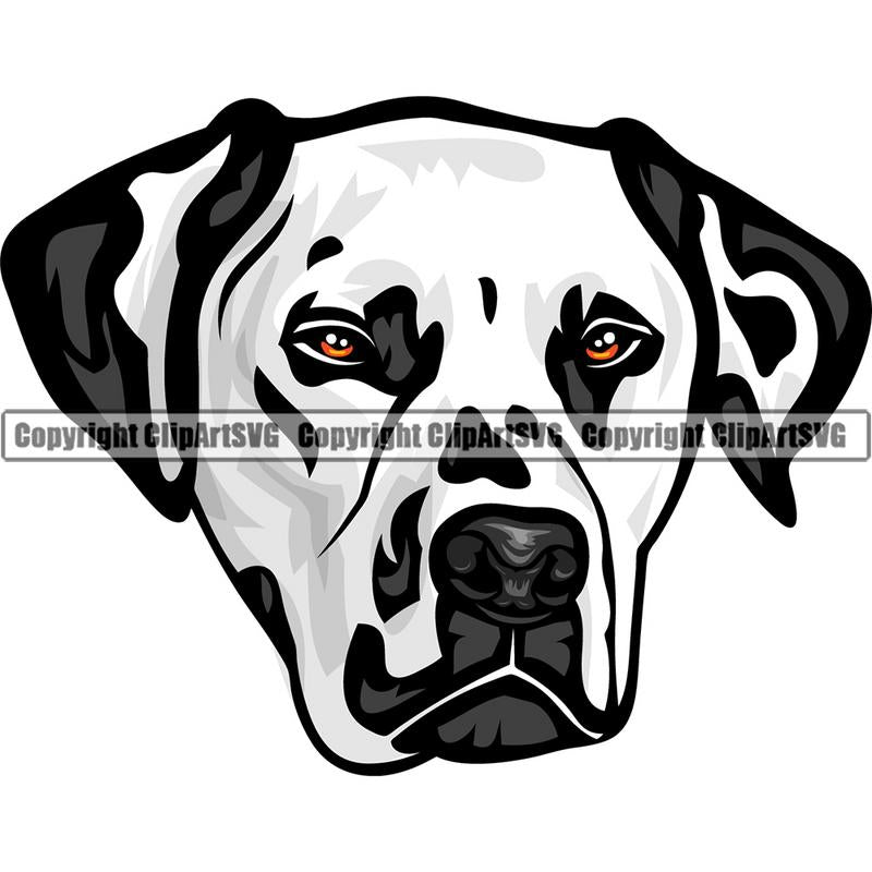 Dalmatian Dog Breed Head Color ClipArt SVG