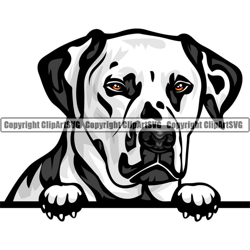 Dalmatian Dog Breed Peeking Color ClipArt SVG