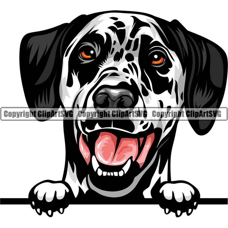 Dalmatian Dog Breed Peeking Color ClipArt SVG