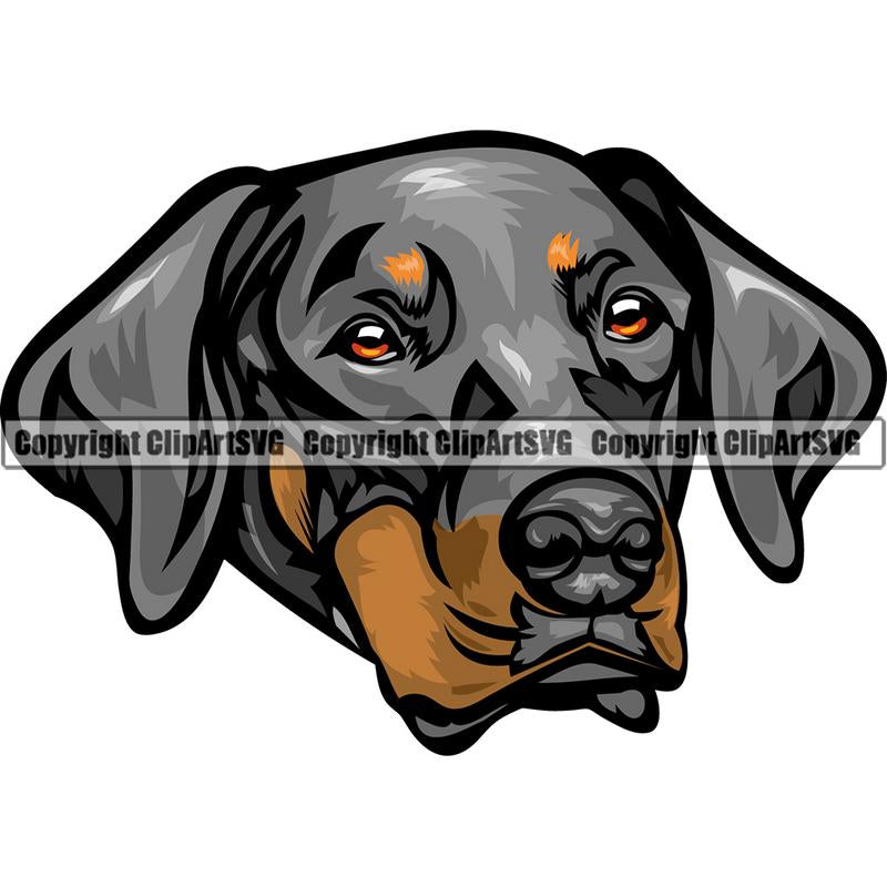 Doberman Dog Breed Head Color ClipArt SVG