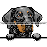 Doberman Dog Breed Peeking Color ClipArt SVG
