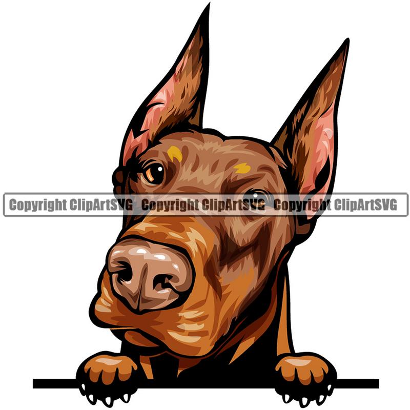 Doberman Dog Breed Peeking Color ClipArt SVG