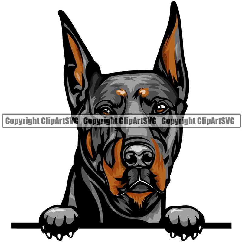 Doberman Dog Breed Peeking Color ClipArt SVG