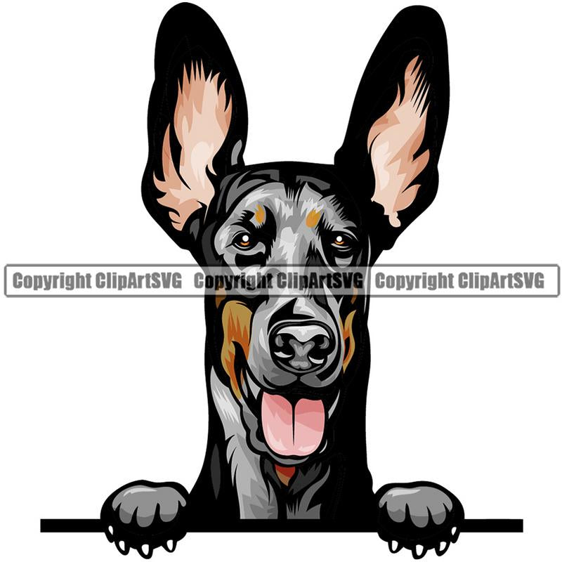 Doberman Dog Breed Peeking Color ClipArt SVG