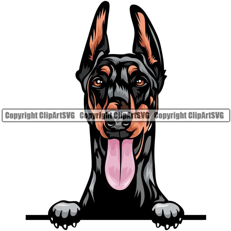 Doberman Dog Breed Peeking Color ClipArt SVG