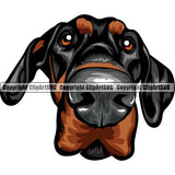 Doberman Dog Breed Head Color ClipArt SVG