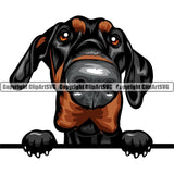 Doberman Pinscher Dog Breed Peeking Color ClipArt SVG