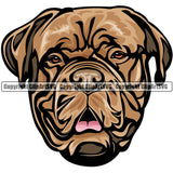 Dogue De Bordeaux Dog Breed Head Color ClipArt SVG