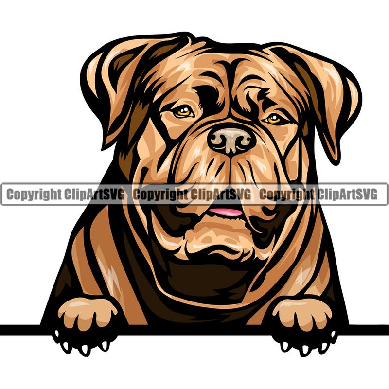 Dogue De Bordeauzx Dog Breed Peeking Color ClipArt SVG