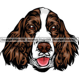 Eglish Springer Spaniel Dog Breed Head Color ClipArt SVG
